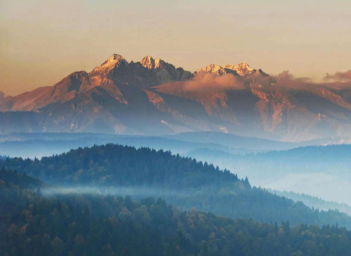 Programista PrestaShop - kluczowy specjalista w rozwijaniu sklepów internetowych