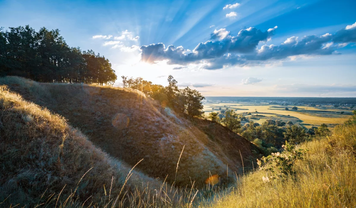 Ochrona środowiska dla producentów AGD: Innowacje i wyzwania w zrównoważonym rozwoju