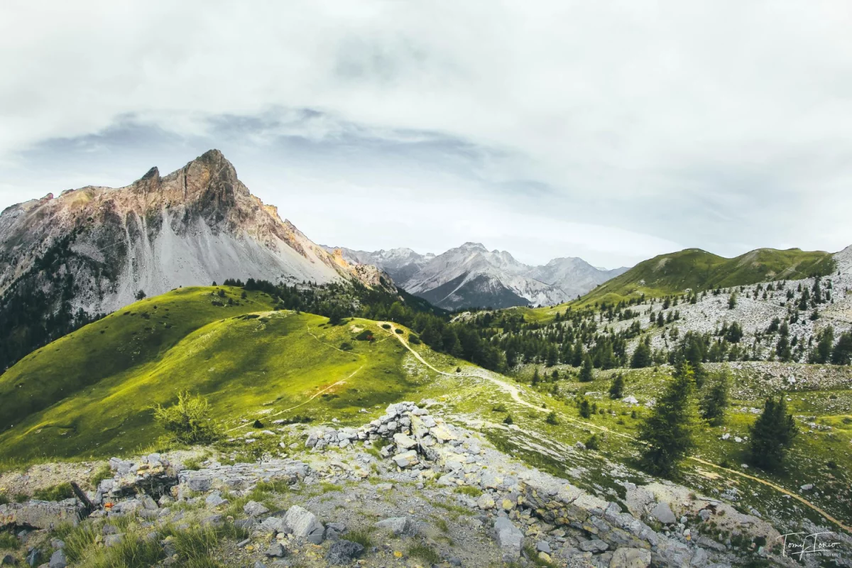 Przygotuj biznes na wyzwania EUDR w branży rozrywkowej: Kluczowe strategie dla sukcesu