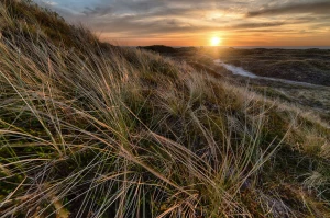 Outsourcing środowiskowy: Klucz do zrównoważonego rozwoju w biznesie